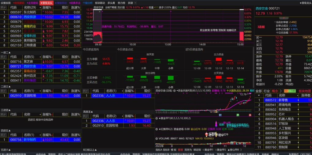 情绪龙战法系统（第十二期第三版）使用说明