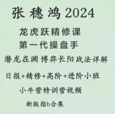 张穗鸿2024年龙虎跃鸿雁高阶小班进阶小班课程日报小牛营特训营视频