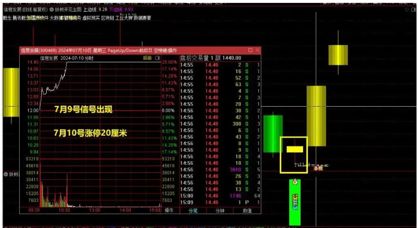 铁树开花进击版尾盘高胜率今买明卖指标手机通用1主+2副+1选