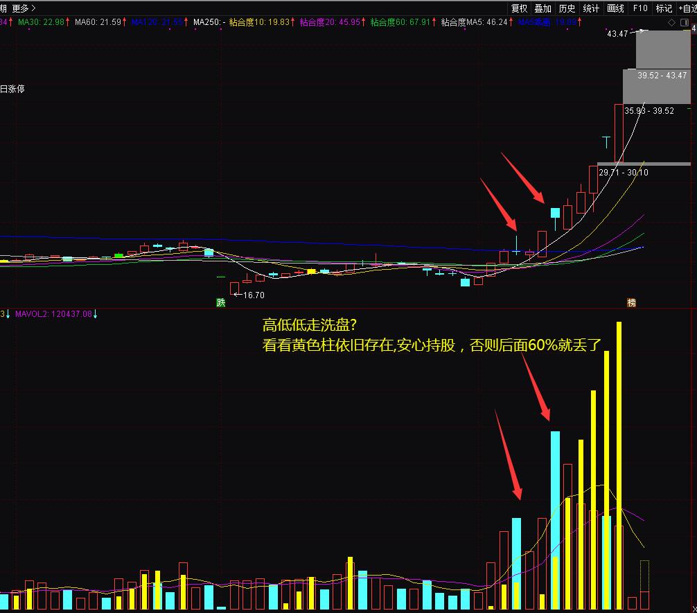 主力量能成交量买入点和持股信号指标