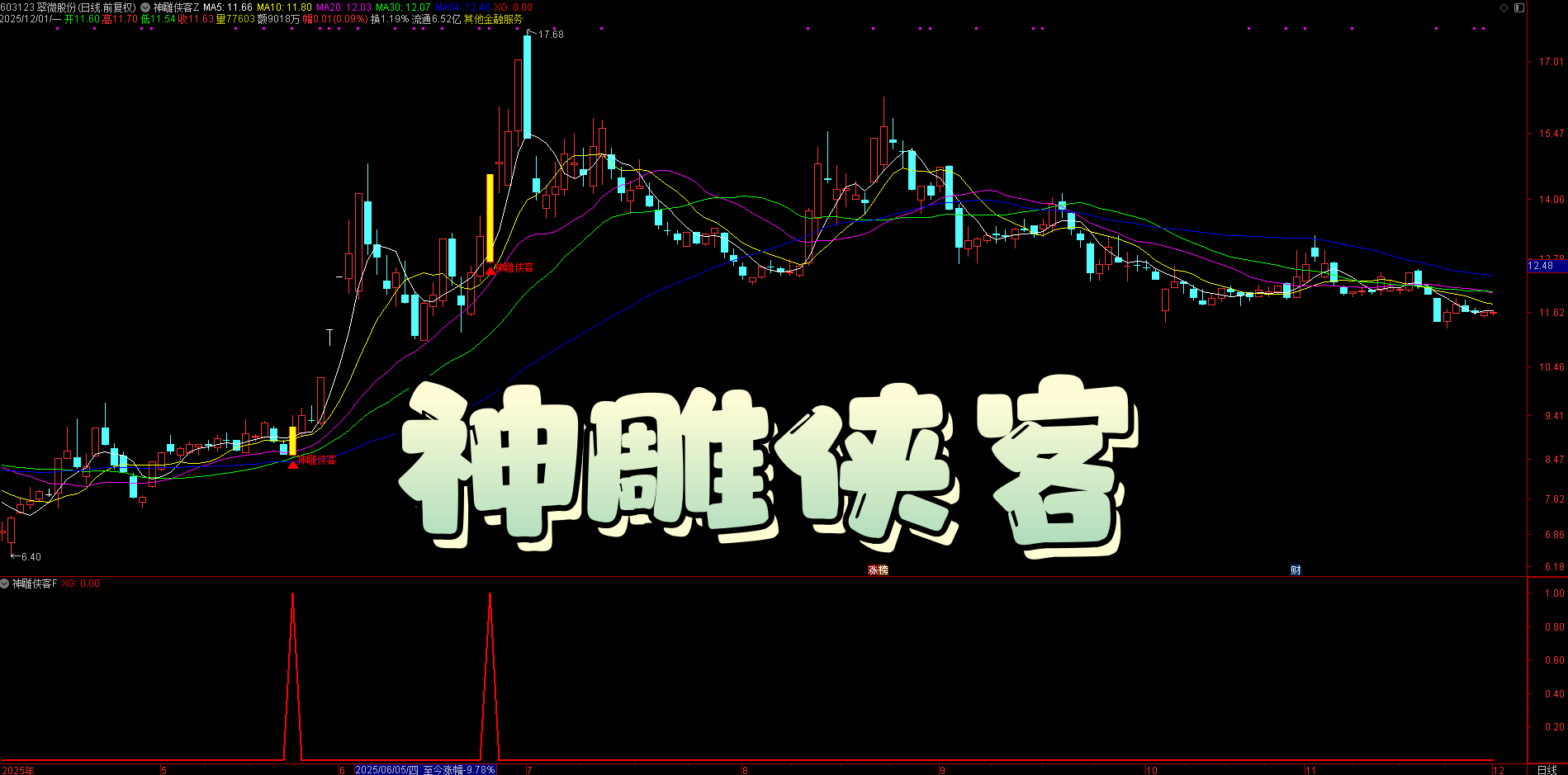 【神雕侠客】三指标套装：趋势+资金+起爆点共振，精准捕捉关键节点，黄色实体信号不漂移